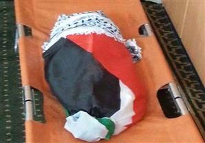 عرض جريمة حرق "الدوابشة" على مجلس حقوق الإنسان اليوم