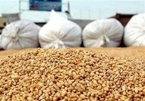 مصر تتعاقد على شراء 120 ألف طن قمح روسي وفرنسي