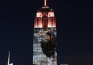 صور- الحيوانات المهددة بالانقراض على جدران مبني بنيويورك 