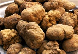 5 أسباب تٌدفعك لتناول الدوم يومياً.. اكتشف