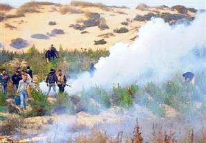 ضبط عامل بحوزته 1380 "شجرة بانجو" بالشرقية