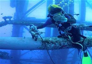  بعمر 14 عامًا.. أصغر غطاس لحام في العالم فخور بمشاركته في حفر القناة