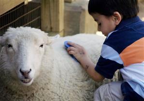 !سنة غفل عنها الكثير ممن أراد أن يضحي