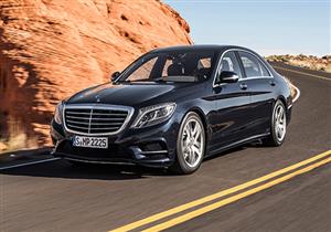 إيجار البغال في مكة أغلى من سيارة مرسيدس فارهة