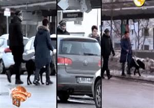 الكلاب تقود فاقدي البصر في السويد