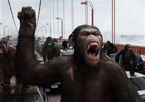 بالصور - من يسكن الأرض إذا انقرض الإنسان؟