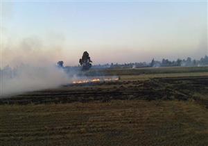 سماع دوي انفجارات بمجمع قمامة في المحلة الكبرى - (صور)