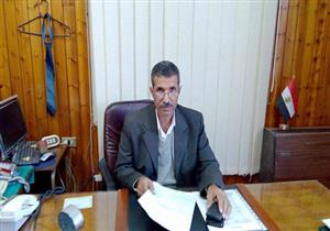  حصاد 22 ألف فدان من محصول القطن بكفر الشيخ