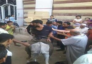 نيابة دمياط تقرر حبس لص "البط" بعد ثبوت الواقعة