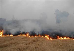 غضب بين أهالي قري المحلة بسبب حرق قش الأرز 