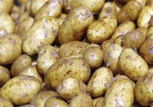136 ألف طن زيادة في صادرات البطاطس المصرية للخارج 