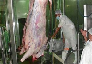 إحالة مخالفات توقف المجزر الآلي وتطوير مركز شباب ببني سويف إلى النيابة الإدارية