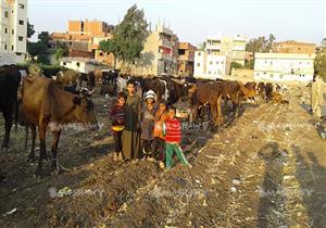 "الرحالة"..  حياة صعبة لا تعرف الاستقرار