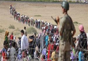 بعد دحر داعش .. العائلات العراقية تتسابق لاقتناء أشجار أعياد الميلاد 