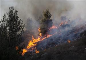 فلسطين تقدم المساعدة في إخماد الحرائق المندلعة في إسرائيل