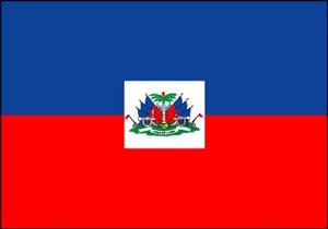 فوز رجل الأعمال "فينيل مواز" بانتخابات الرئاسة في هاييتي