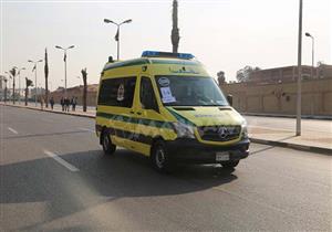 مصادر تكشف حقيقة مقتل ربة منزل على يد ابنها بالوراق