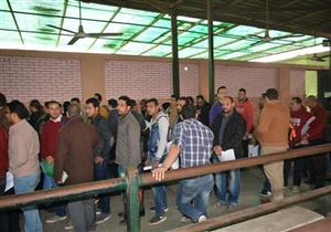 القوى العاملة بالسويس: تسجيل 274 طالبًا للعمل خلال يناير