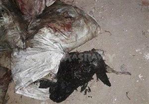 بيطري الشرقية: رؤوس الحمير للأسود.. ونحقق في استخدام لحومها في الكفتة والبورجر