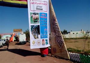 بالصور.. وزيرة التعاون الدولي تتفقد مزرعة مصر الخير بالوادي الجديد