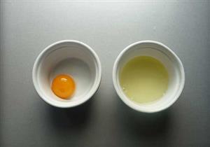 بالفيديو: كيف تجعل بياض البيضة في الوسط ؟