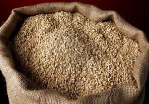 مباحثات لاستيراد 3 ملايين طن قمح خارج نظام المناقصات