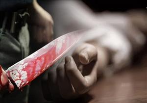 قطع جثتها بالساطور وألقاها في بئر.. كشف لغز "سيدة الفيلا" في الإسكندرية وتفاصيل صادمة 