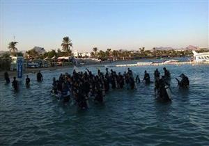 بجهود ذاتية- مصر تستعد لتحطيم رقم جينيس بأطول سلسلة بشرية تحت الماء