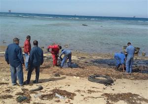 بالصور.."البيئة" تتعامل مع تلوث مياه رأس غارب بتحليل "بصمة الزيت"