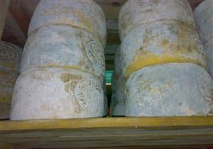 ضبط ٨ أطنان "جبن رومي" فاسدة داخل مصنع بالإسكندرية