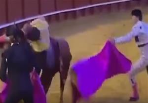 ثور هائج يصيب مصارع "ماتادور" بمكان خطير