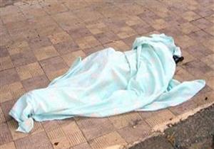 تفاصيل مقتل خفير بشركة في الدقهلية: السرقة وراء الجريمة