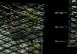 "الجنايات" تواصل اليوم محاكمة 26 متهمًا بخلية "الجيزة الإرهابية"