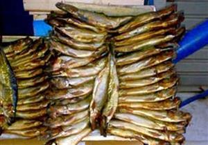 قبل شم النسيم.. تحذير من الصحة للمواطنين بشأن الأسماك المملحة 