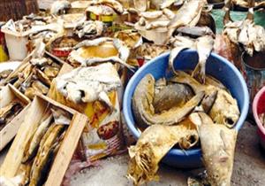 ‏‫ضبط  طن "رنجة" مجهولة المصدر قبل بيعها للمواطنين بالقليوبية