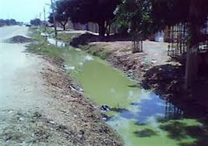 البيئة والكهرباء تنظمان دورات تدريبية للعمال لمواجهة الكوارث البيئية