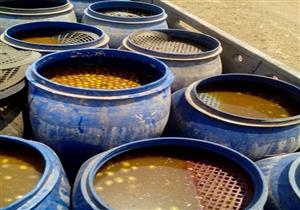 أبرزها إحباط ترويج 120 طن "زيتون مخلل".. شرطة التموين تضبط 1205 قضية متنوعة