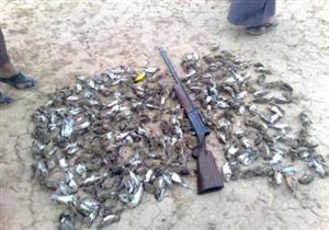 "البيئة" توضح بنود "إعلان القاهرة" الخاص بمكافحة صيد الطيور المهاجرة