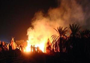 الحماية المدنية بأسوان تسيطر على حريق ضخم بمساحات كبيرة من النخيل