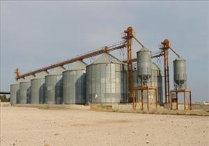 "التموين": تحرير 30 محضرًا حول فساد عمليات توريد القمح بالمحافظات