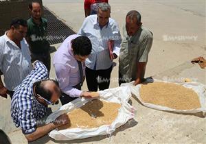 حملة للرقابة الإدارية على صوامع تخزين القمح بالمنوفية