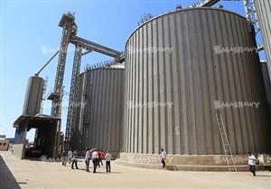 بلومبرج الأمريكية لتخزين القمح: رفضنا العمل بمصر إلا في وجود السيسي