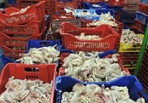 ضبط نصف طن لحوم غير صالحة للاستهلاك الآدمي قبل طرحها بأسواق القليوبية