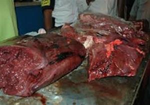 600 كيلو كبدة فاسدة في أشمون
