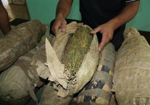 ضبط 450 لفافة بانجو بحوزة 3 أشخاص في الإسماعيلية