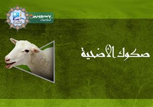 هل يعد صك الأضحية كثواب المضحي أم هو صدقة؟.. وأمين الفتوى يوضح