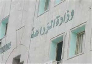 "مزاد الشعب".. 70 مليون جنيه حصيلة بيع 6 قطع أراضي مستردة حتى الآن