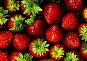  10 فوائد مذهلة لـ "الفراولة".. و5 أضرار لها.. تعرف عليها