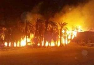 الحماية المدنية تسيطر على حريق بمزرعة نخيل بالخارجة