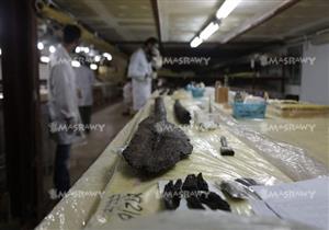 المتحف الكبير يتسلم قطعًا أثرية من مركب الملك خوفو